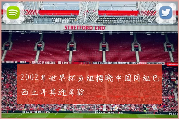 2002年世界杯分组揭晓中国同组巴西土耳其迎考验