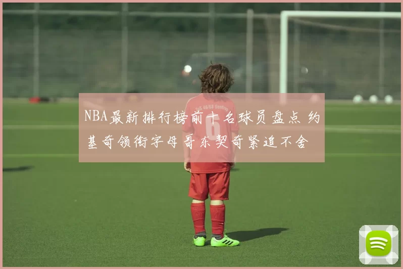 NBA最新排行榜前十名球员盘点 约基奇领衔字母哥东契奇紧追不舍