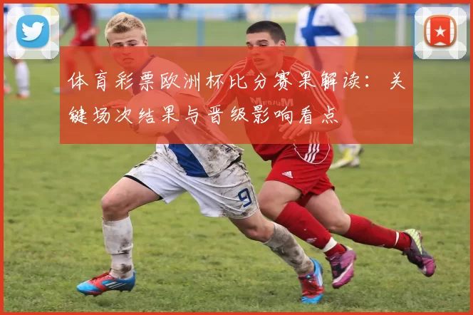 体育彩票欧洲杯比分赛果解读：关键场次结果与晋级影响看点
