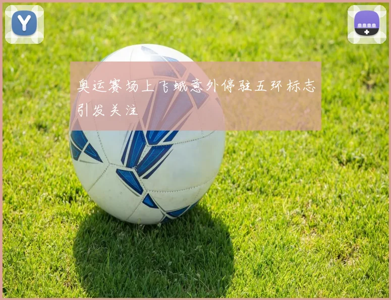 奥运赛场上飞蛾意外停驻五环标志引发关注