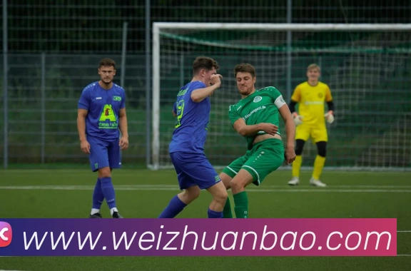 多终端兼容